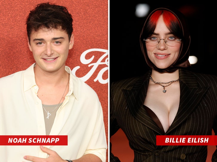 noah schnapp billie eilish