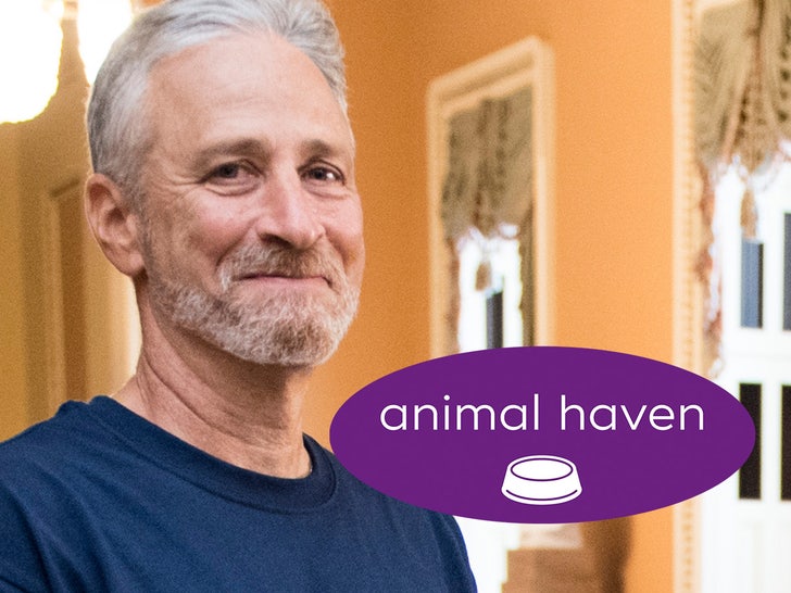 jon stewart animal haven