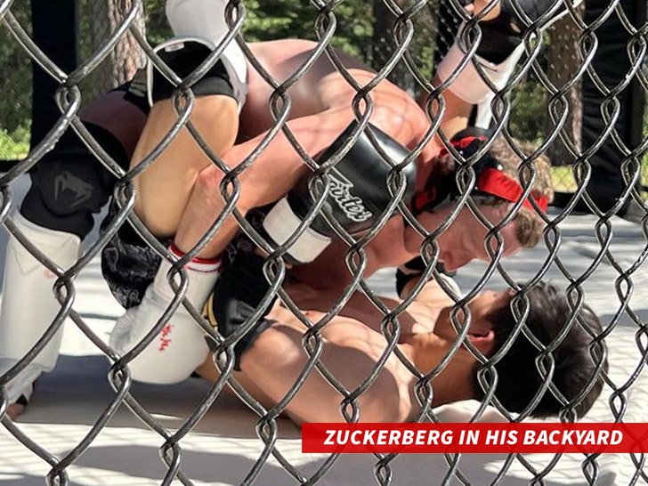 mark zuckerberg in his backyard