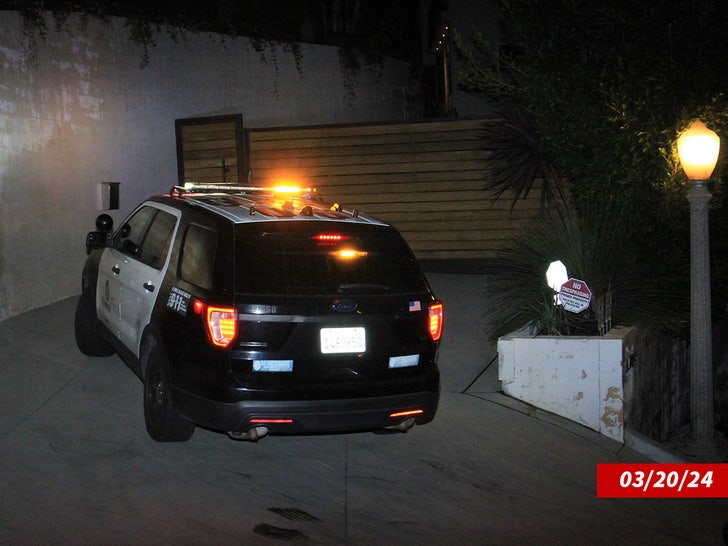 Police Outside Christine Quinn's House 2