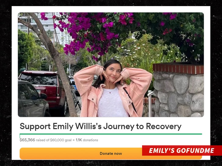 EMILY'S GOFUNDME