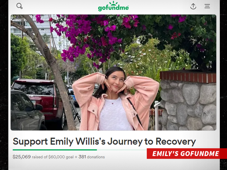 EMILY'S GOFUNDME"