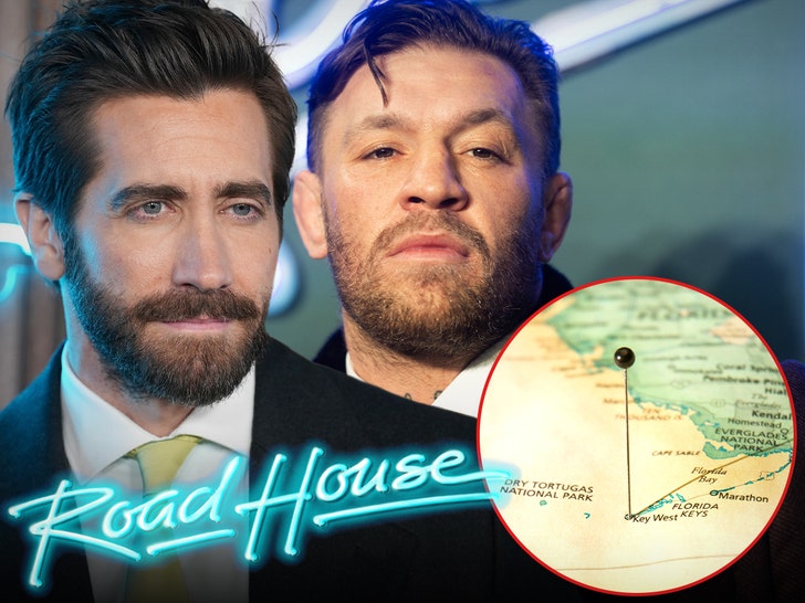 jake gyllenhaal conor mcgregor