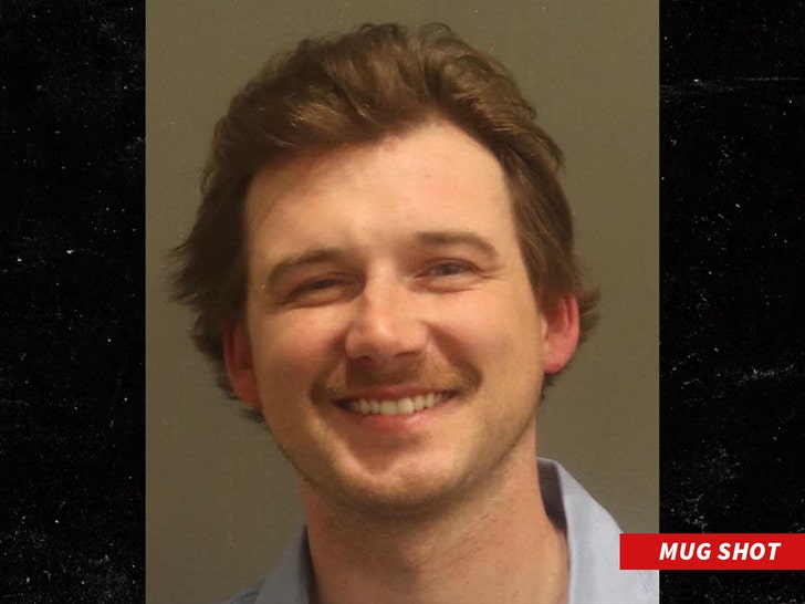 morgan wallen 2024 mug shot